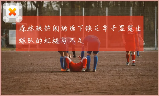 森林狼热闹场面下缺乏华子显露出球队的粗糙与不足